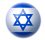 israel flag button